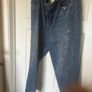 Lane Bryant Denim Jeans